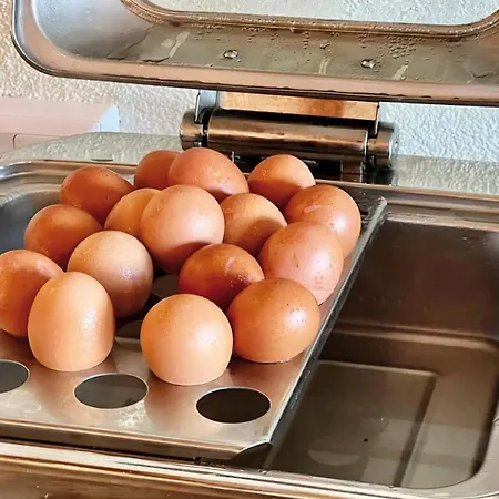 호텔 Pachernighof 4*